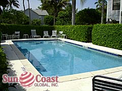 Palm Court Community Pool